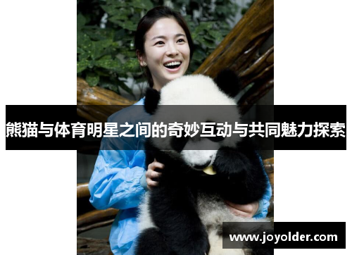 熊猫与体育明星之间的奇妙互动与共同魅力探索